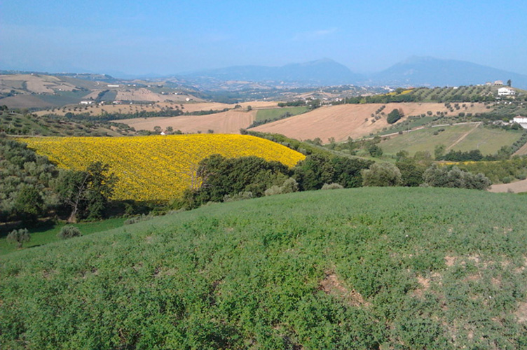 Natura