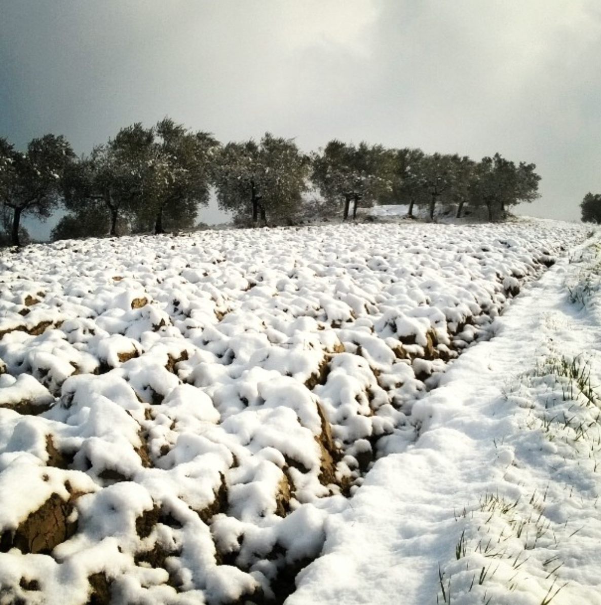 Inverno-2018