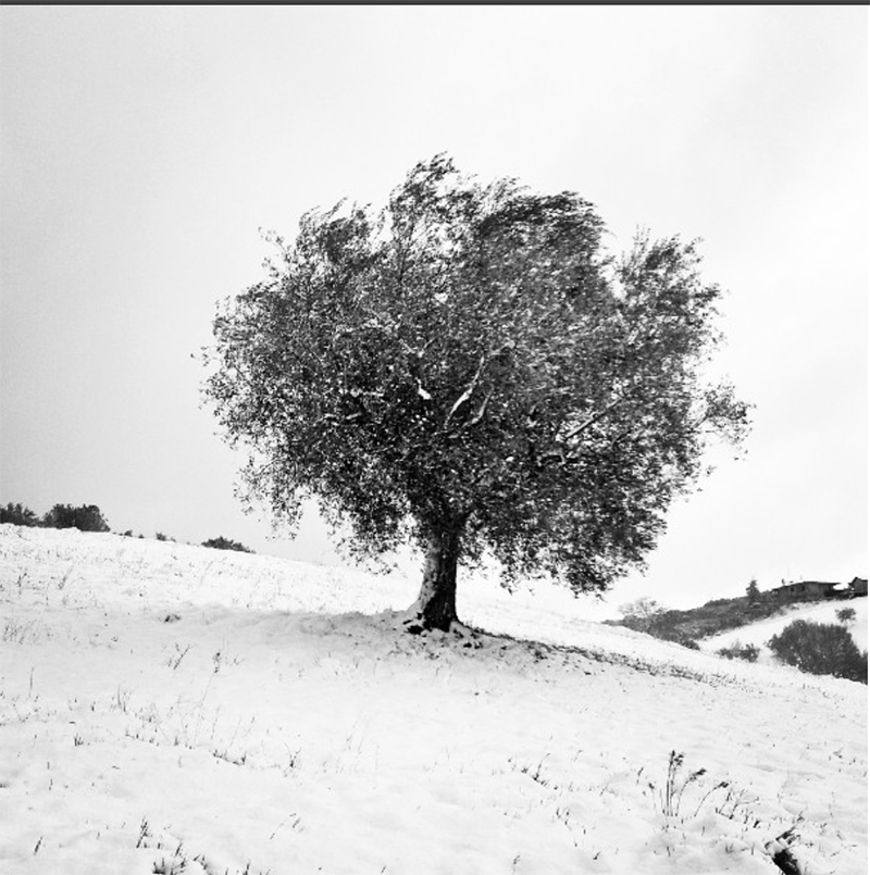 L-inverno-e-stato-freddo