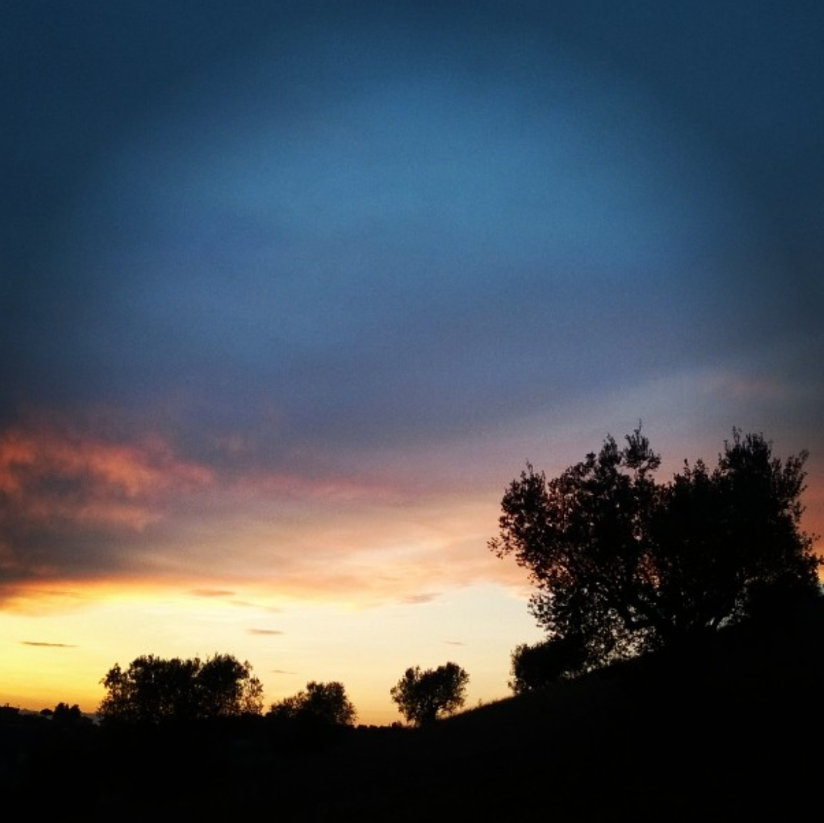 Tramonto-sull-oliveto