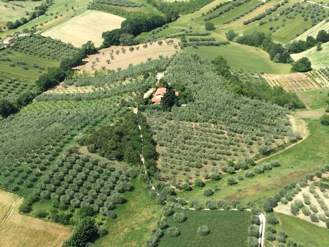 Paesaggi_2